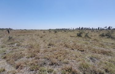 Five Acres Of Land For Sale At Sholinke At 2.8m Per Acre.