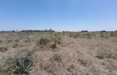 Five Acres Of Land For Sale At Sholinke At 2.8m Per Acre.