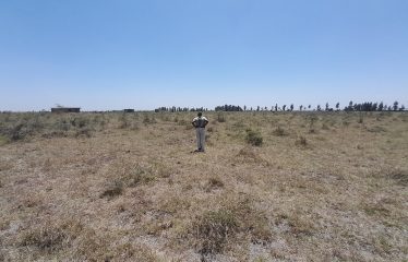 Five Acres Of Land For Sale At Sholinke At 2.8m Per Acre.